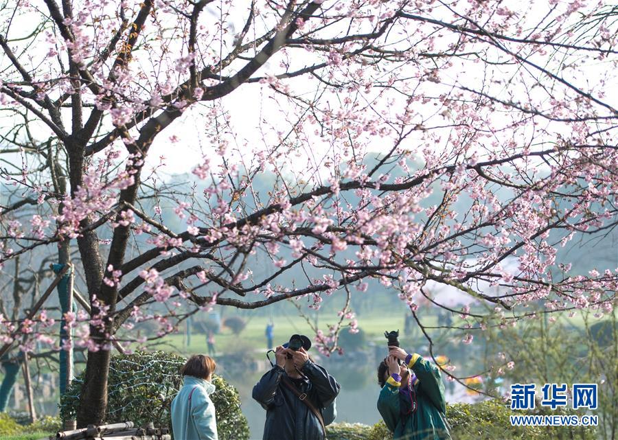 [流言板]霍勒迪：第四節(jié)的塔特姆不可阻擋，同時他也信任隊友