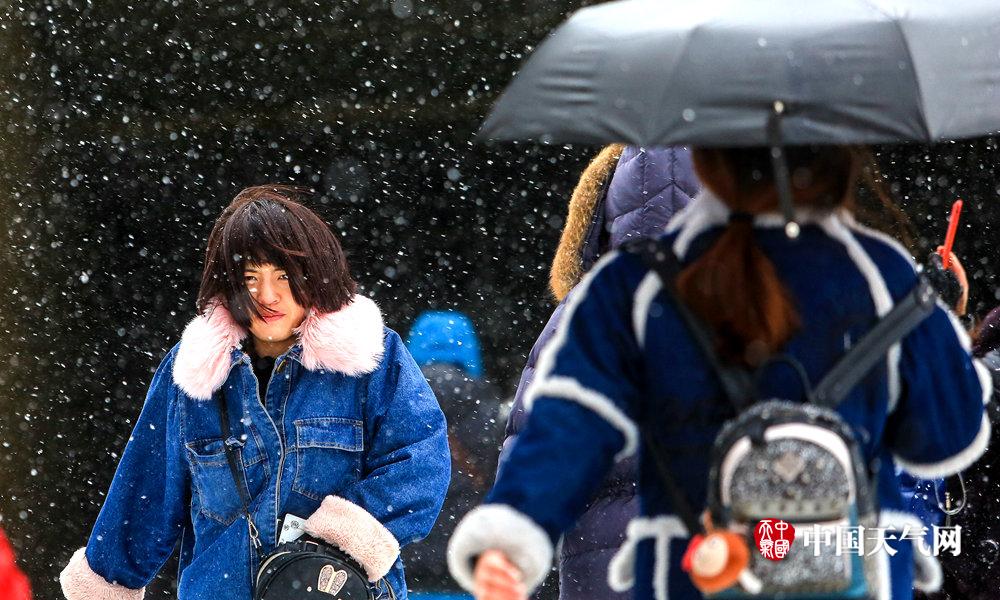 「非米氵」我們家的兩位新成員，大伙幫忙起個(gè)名