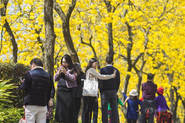 蘋果新鉸鏈設(shè)計專利公示！折疊屏iPhone最早2026年發(fā)布