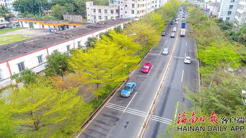 來往更方便！赴港澳旅游一簽多行、一周一行將實(shí)施