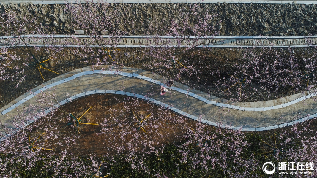 [流言板]今日輸球后，奇才遭遇9連敗，為聯(lián)盟本賽季現(xiàn)存最長連敗