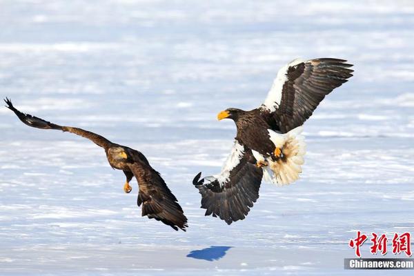 最高時(shí)速250km/h！廣汽集團(tuán)發(fā)布GOVY AirJet飛行汽車官宣：2025年開啟預(yù)訂