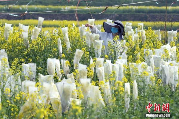 新疆的海鮮、甘肅的蝦 農(nóng)業(yè)大摸底太精彩了