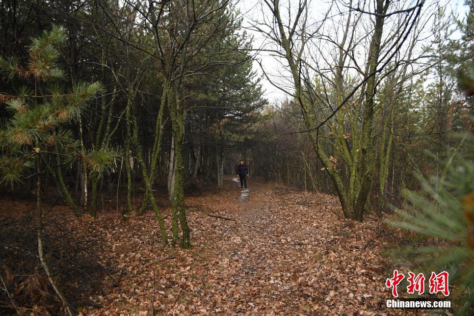 ASML高層曝出半導(dǎo)體行業(yè)最大天敵：地震