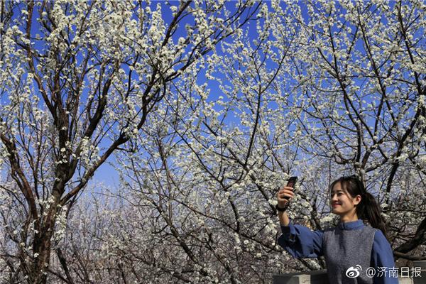 美國眾議院計(jì)劃撥款30億美元：用于更換華為及中興的電信設(shè)備