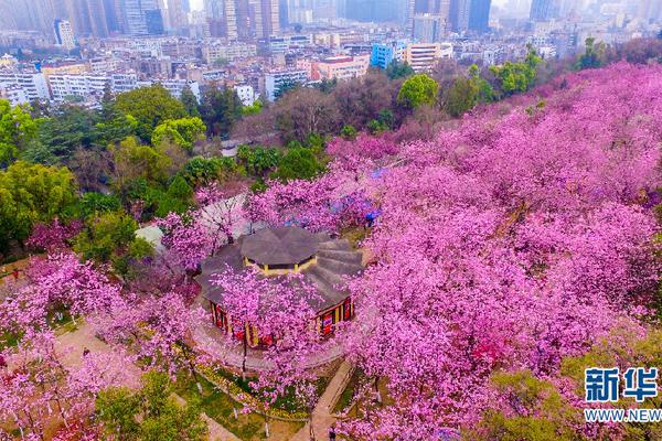 官方：神舟十八號載人任務圓滿成功！首次“太空養(yǎng)魚”