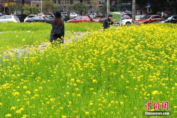 中新網(wǎng)評(píng)：重拳打擊偷拍，讓隱藏?cái)z像頭無(wú)處可藏