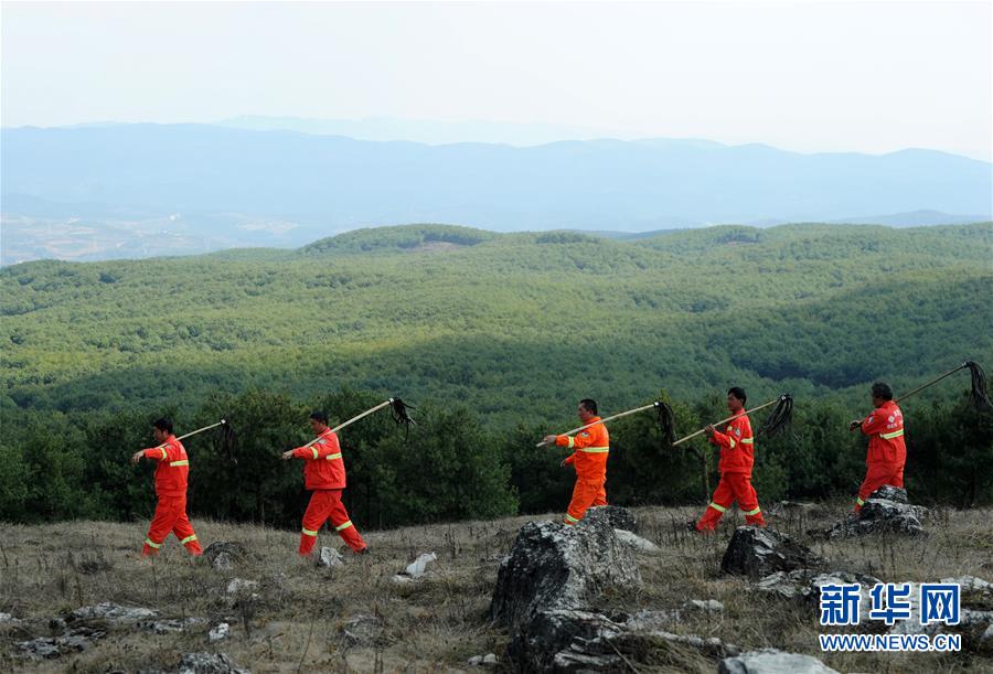 兒童編程創(chuàng)作神器：小河貍創(chuàng)客AI大模型機器人49.9元包郵