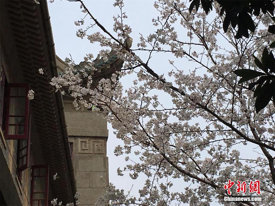 [流言板]耍起來了！雷霆領(lǐng)先10分，亞歷山大面對狄龍大秀運(yùn)球