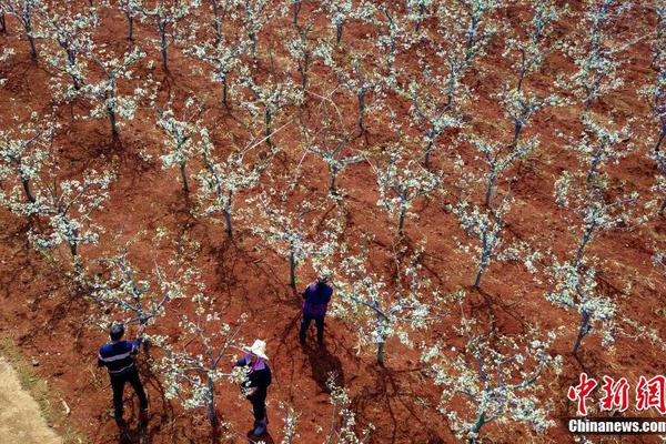 太藍高翔：我們固態(tài)電池200℃放置30分鐘不起火、不爆炸