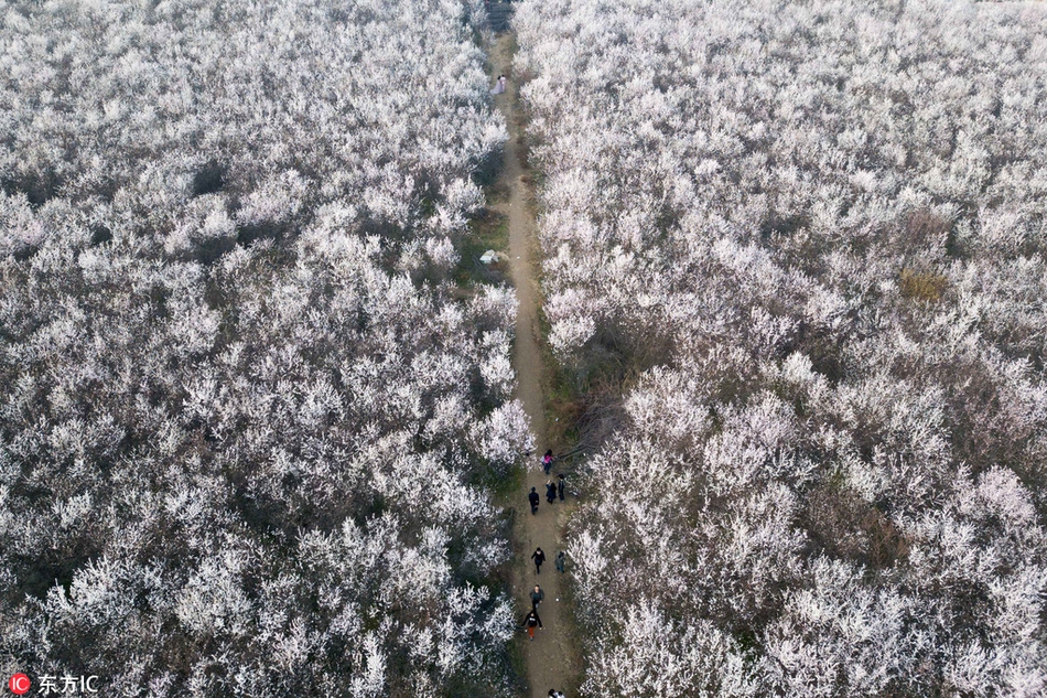 [流言板]打花比賽！波普助攻艾薩克完成空接暴扣，魔術(shù)領(lǐng)先鵜鶘24分