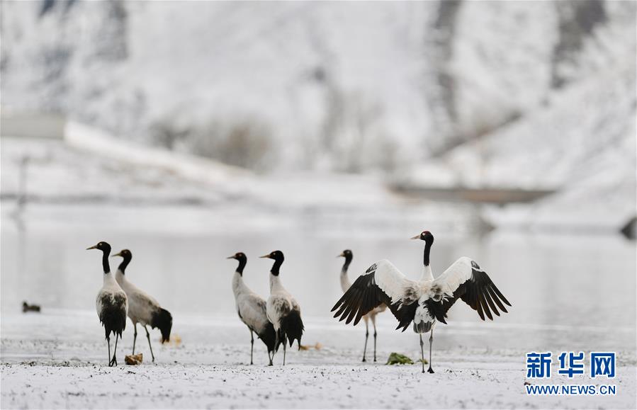 完勝百萬保時捷卡宴：極氪7X成功登頂“中國最具挑戰(zhàn)大雪道”