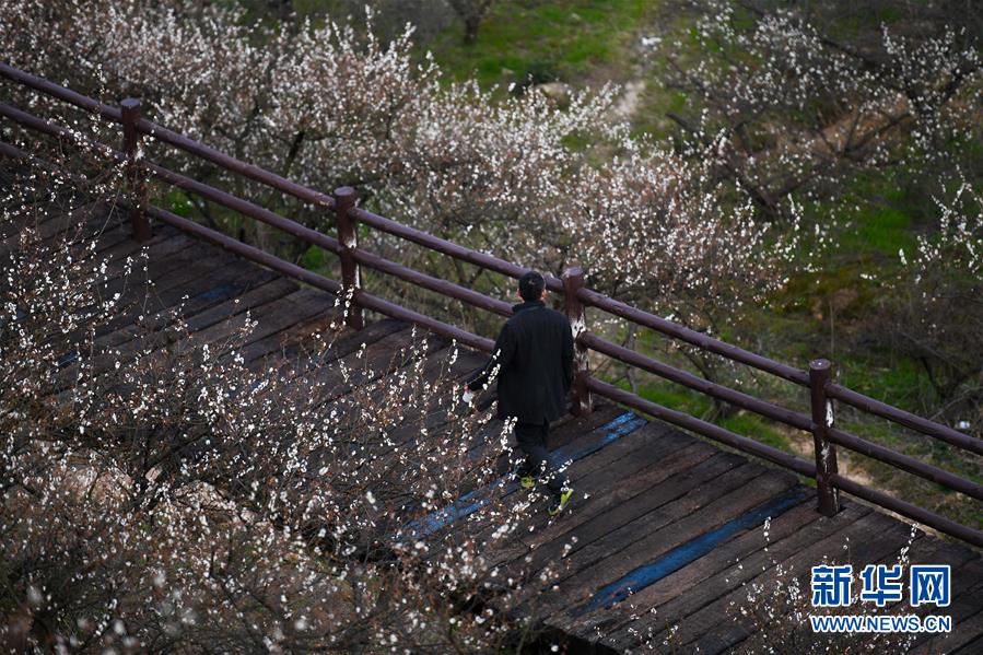 海膽水餃、山楂牛排、沙棘羊排......盒馬上線冬至滋補大餐