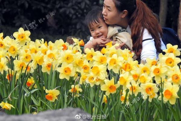 今日大雪 冷知識來襲：哪個節(jié)氣雪最大 答案意想不到