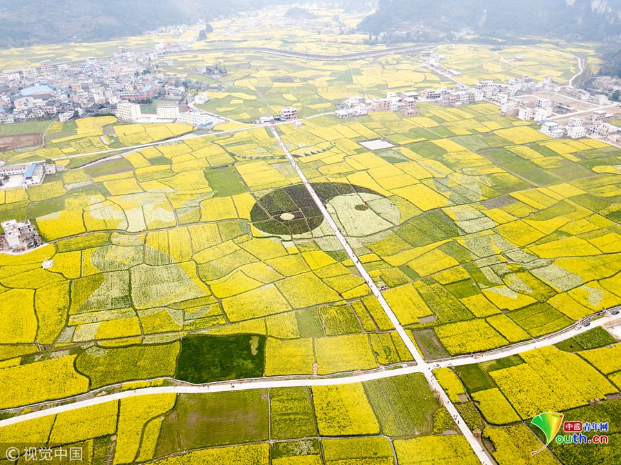 中國建筑科學(xué)研究院：繁榮“建鴻”生態(tài)  推進建筑科技產(chǎn)業(yè)升級