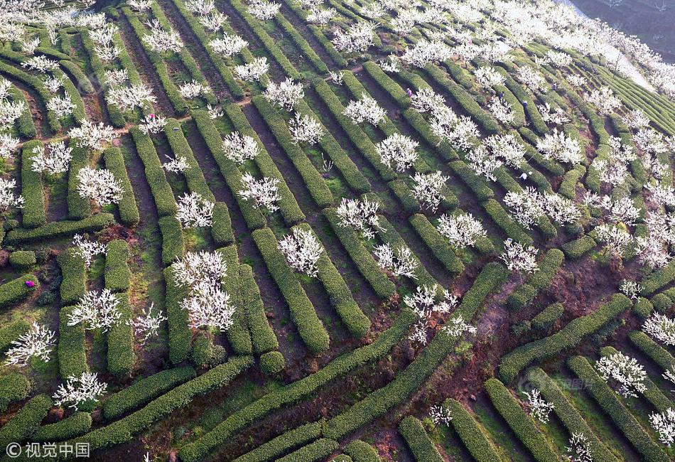 填補國內(nèi)空白！中國移動、華為等聯(lián)合發(fā)布首顆GSE DPU芯片