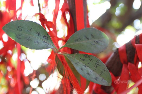 紅組強(qiáng)隊(duì)還挺多，平均水平都差不多