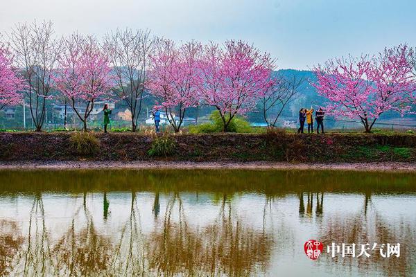 遭遇75年最猛暴雨 阿聯(lián)酋痛定思痛：三年340億美元大搞基建